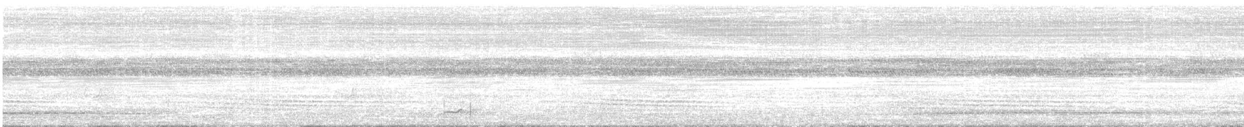 Short-tailed Nighthawk - ML646672279