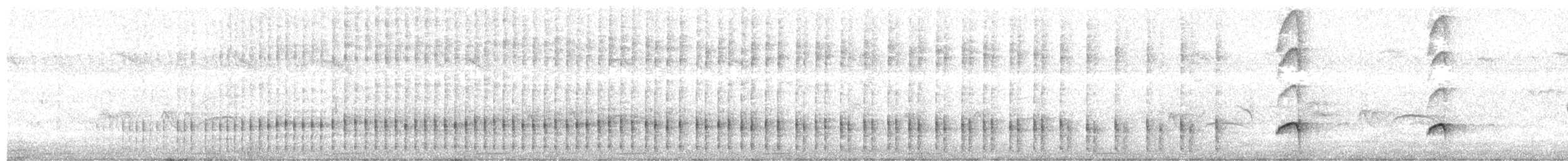 Common Squirrel-Cuckoo - ML646672295