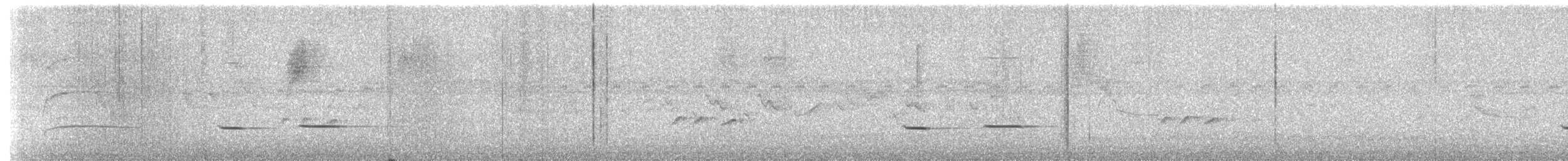 Çizgili Guguk - ML646672377