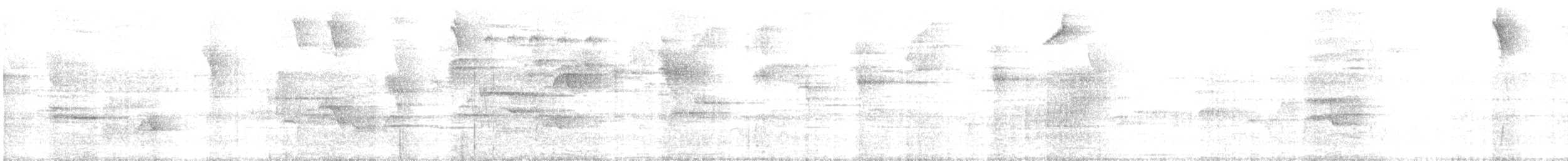 White-browed Brushfinch - ML646672407