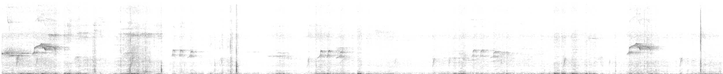 Piratic Flycatcher - ML646672439