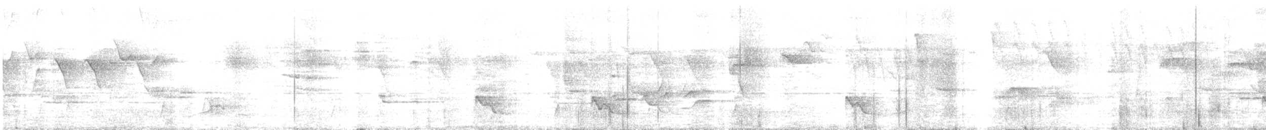 drozd andský - ML646672512