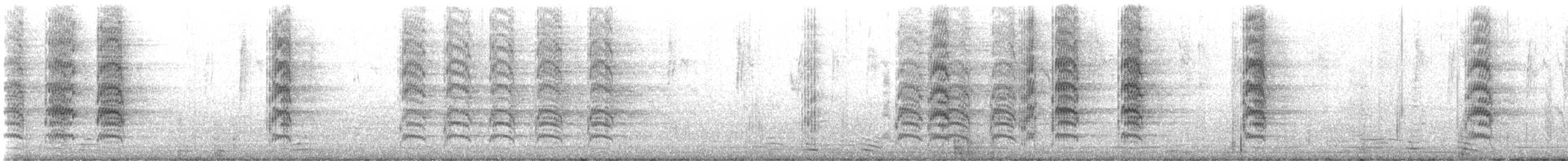 aratinga černohlavý - ML646672547