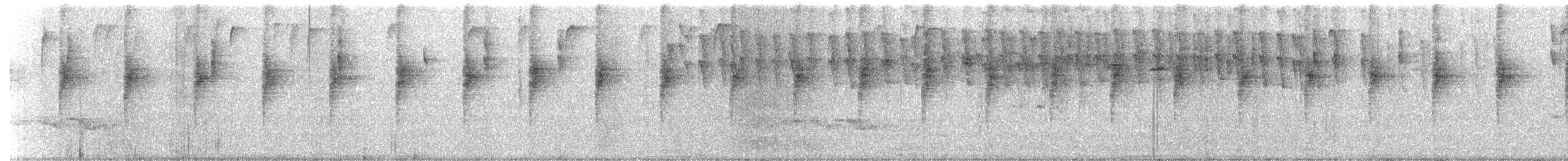 kolibřík modrolící - ML646672644