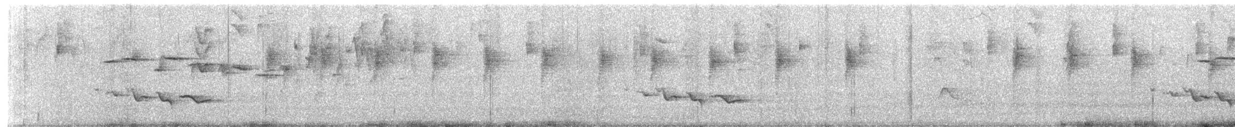 Black-billed Peppershrike - ML646672918