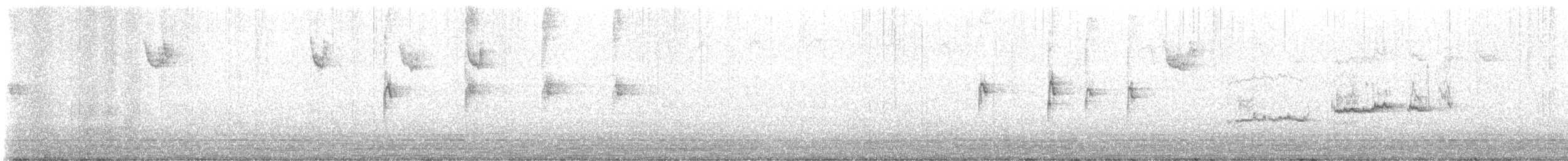 White-throated Sparrow - ML646673129