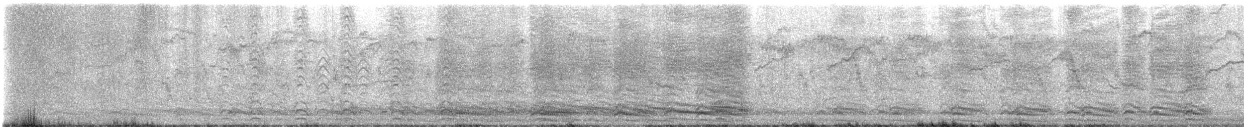 American Crow - ML646673231