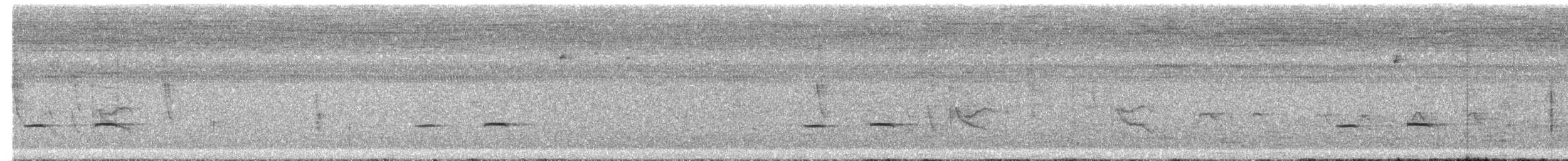 Striped Cuckoo - ML646673251