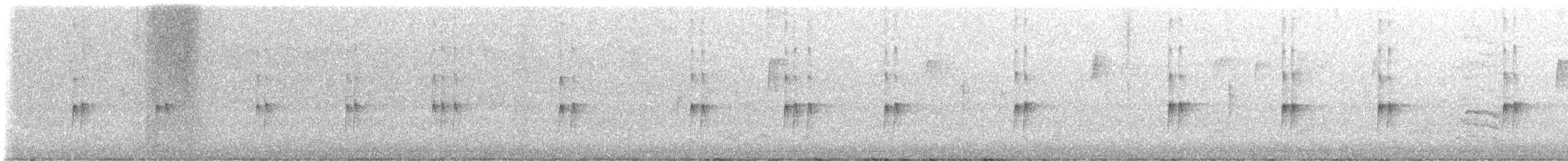 Carolina Wren - ML646673732