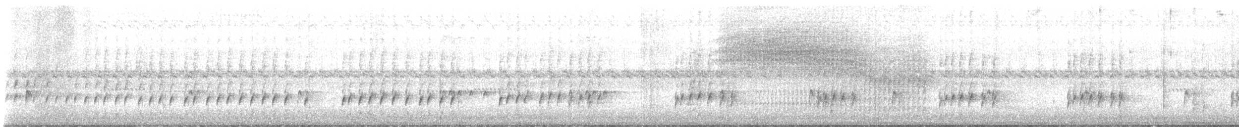 Carolina Wren - ML646673842