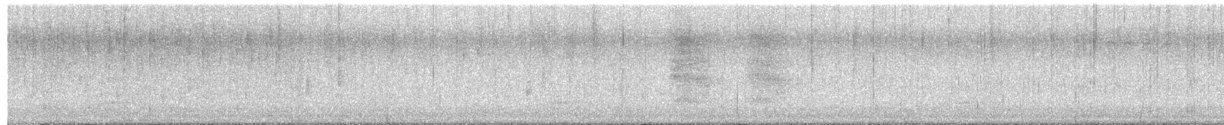 Steller's Jay - ML646674152