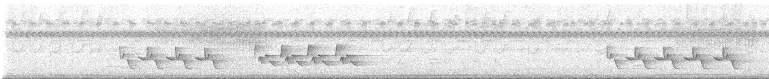 Carolina Wren - ML646674200