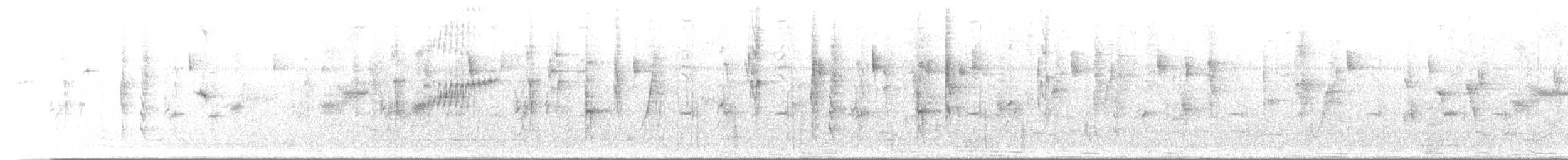 Wedge-tailed Sabrewing (Curve-winged) - ML646674583
