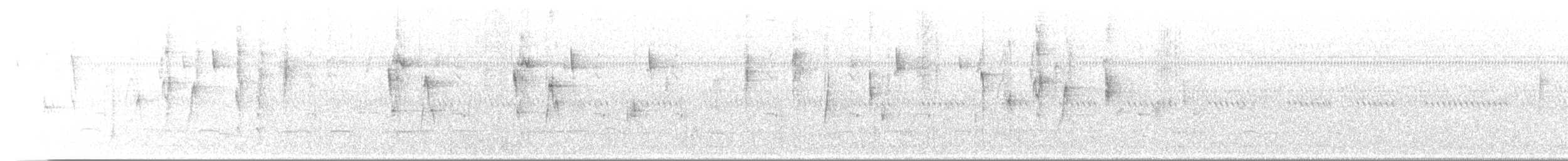 Wedge-tailed Sabrewing (Curve-winged) - ML646674608