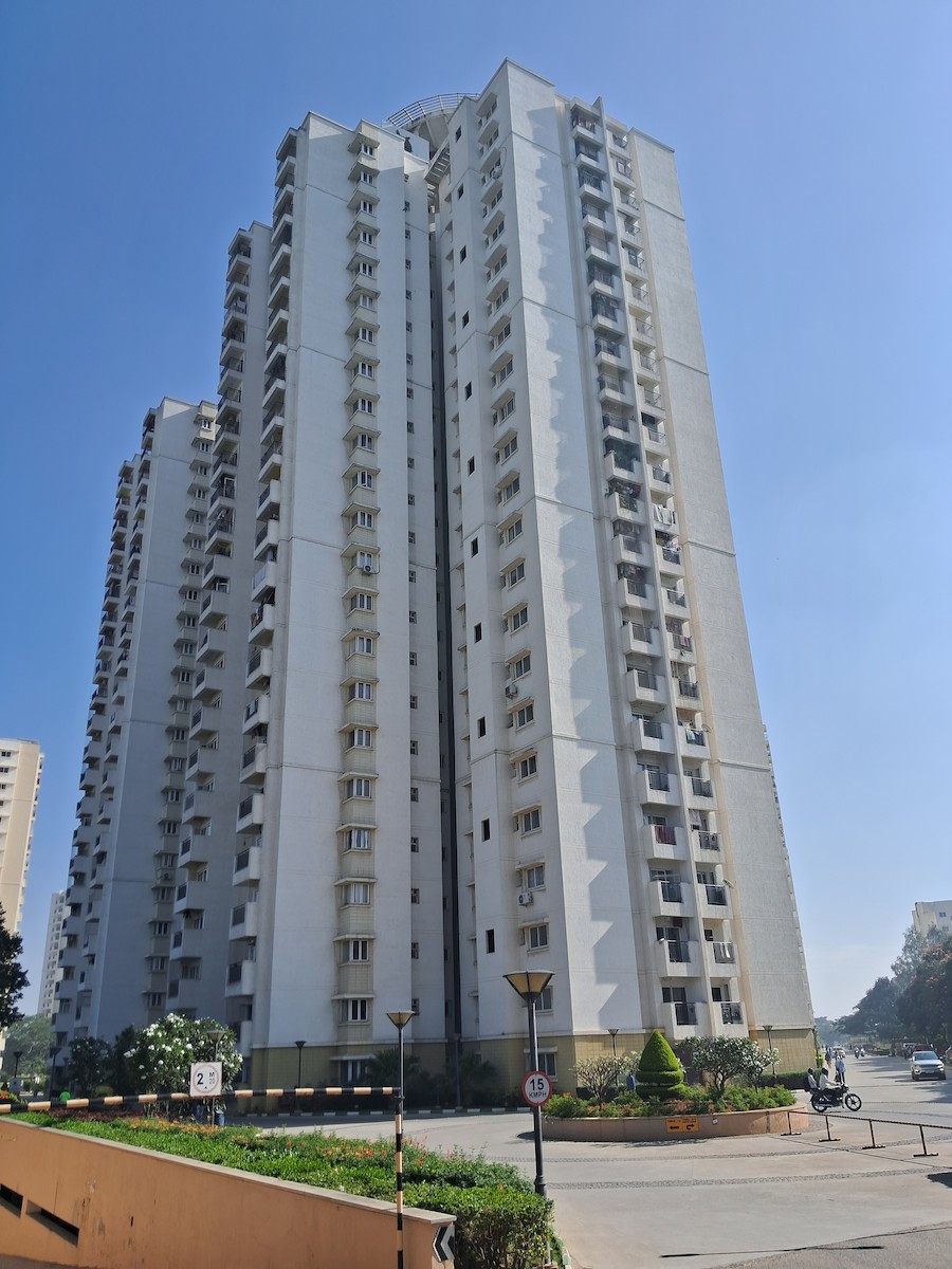 遊隼 - ML646674907