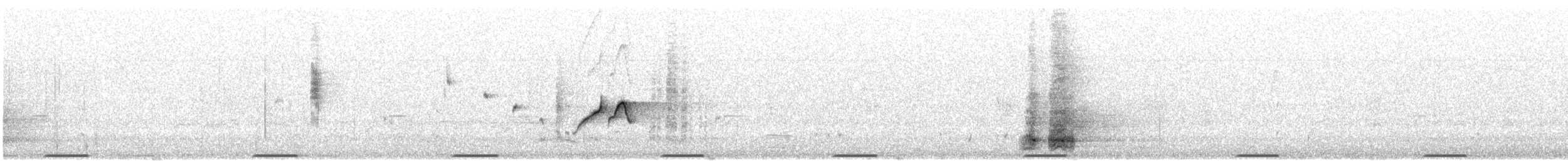 Colombine élégante - ML646674913