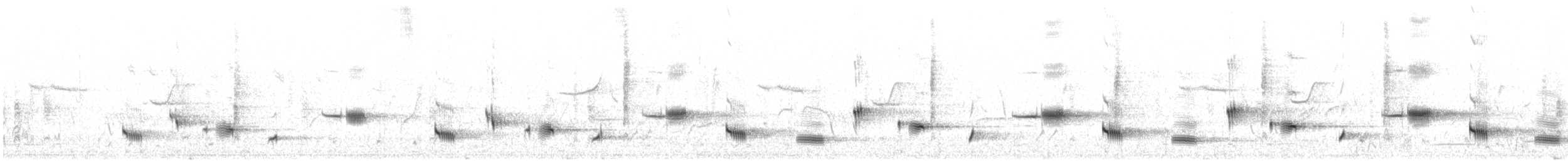 Psophode à menton noir (nigrogularis/oberon) - ML646674964