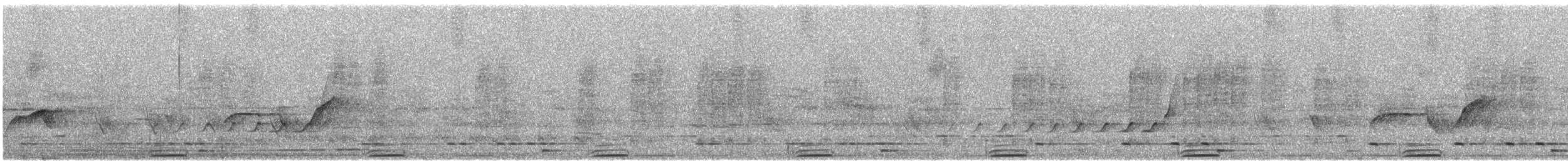 Brush Bronzewing - ML646675131