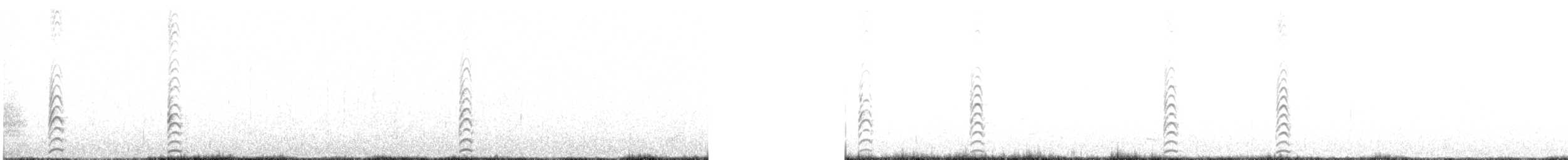 Pied Stilt - ML646675132