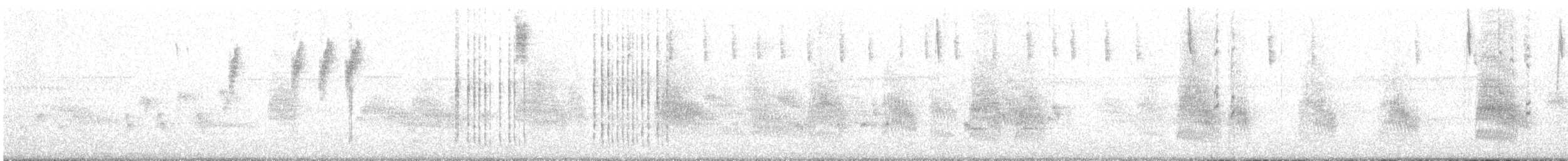 White-browed Scrubwren - ML646675151