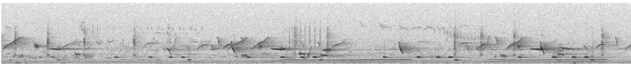 Crested Bellbird - ML646675152