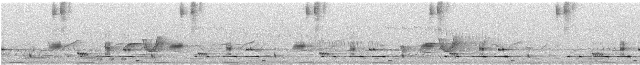 Crested Bellbird - ML646675158