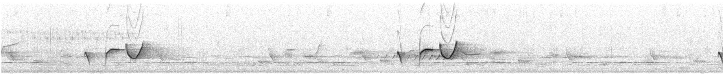 Petroica Matorralera Sureña - ML646675195