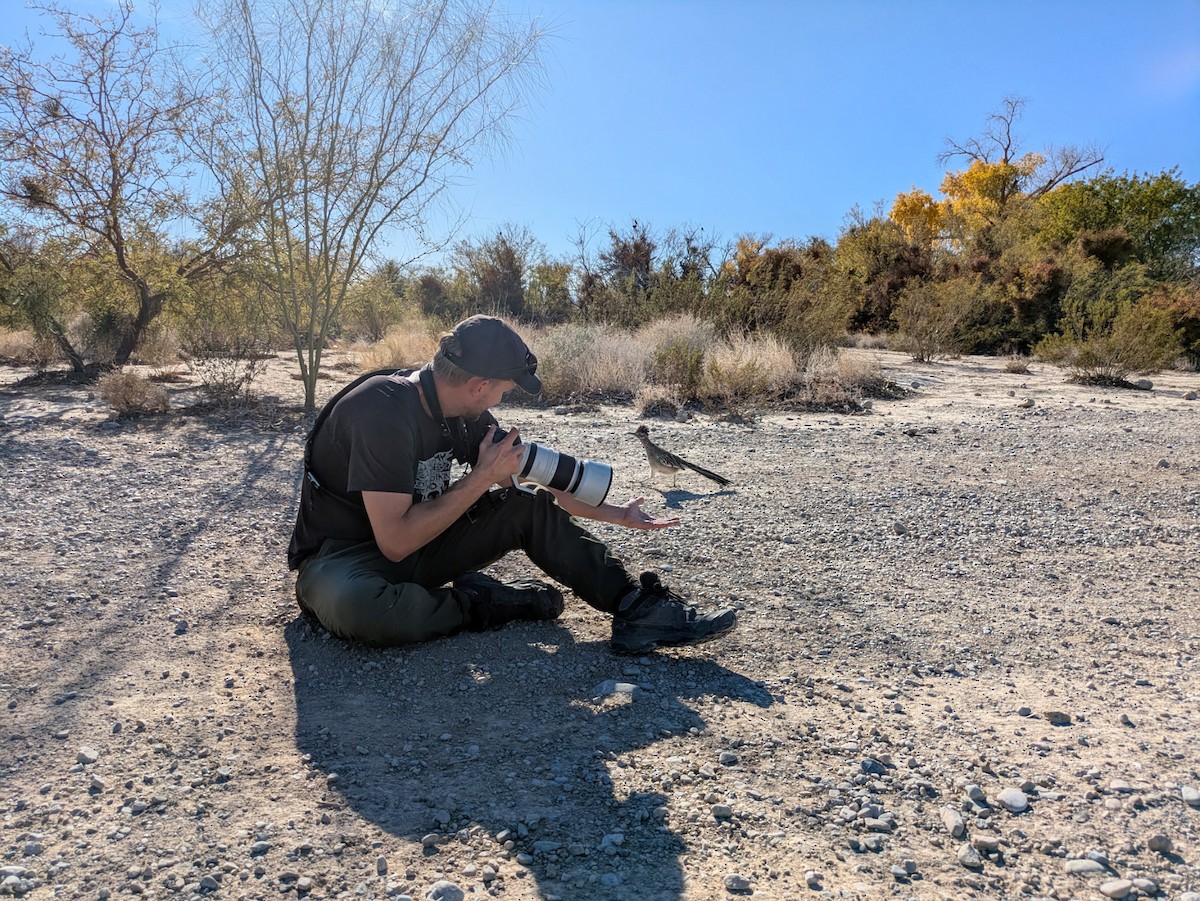 Correcaminos Grande - ML646675203