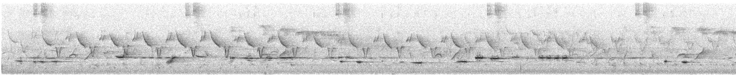 Tawny-crowned Honeyeater - ML646675220