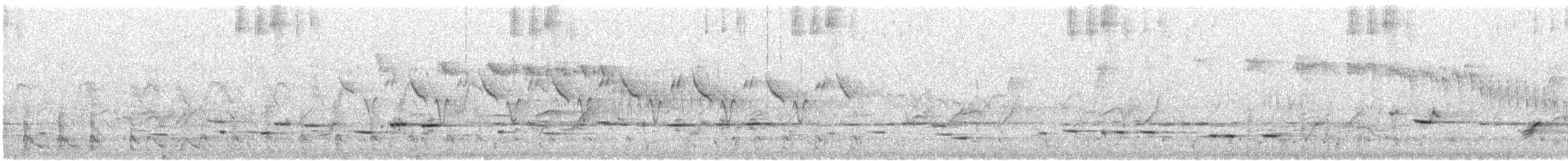 Tawny-crowned Honeyeater - ML646675222