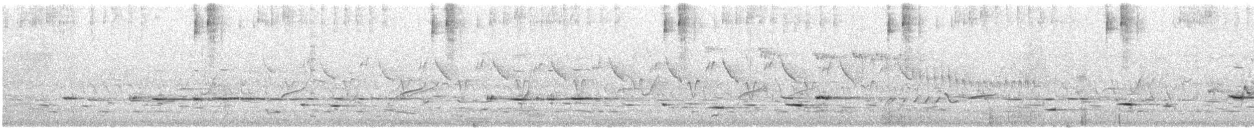 Tawny-crowned Honeyeater - ML646675223