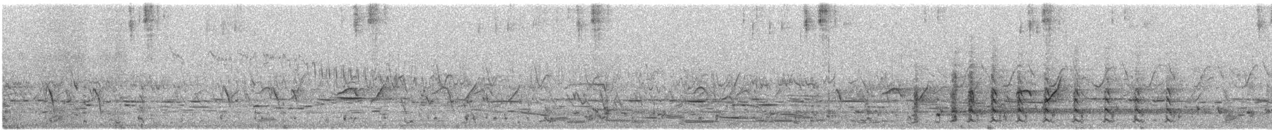 Red Wattlebird - ML646675234