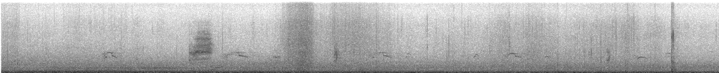 Marbled Murrelet - ML646675408