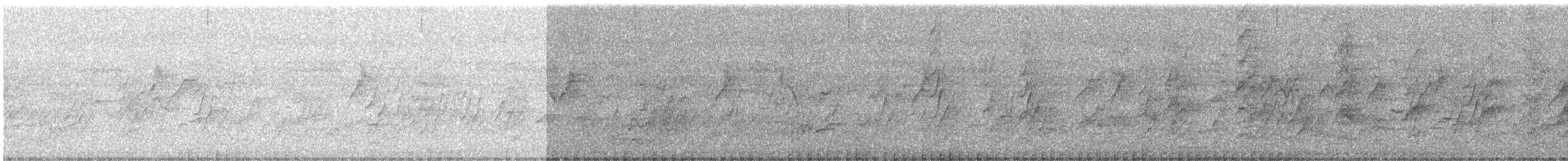 Plum-headed Parakeet - ML646675879