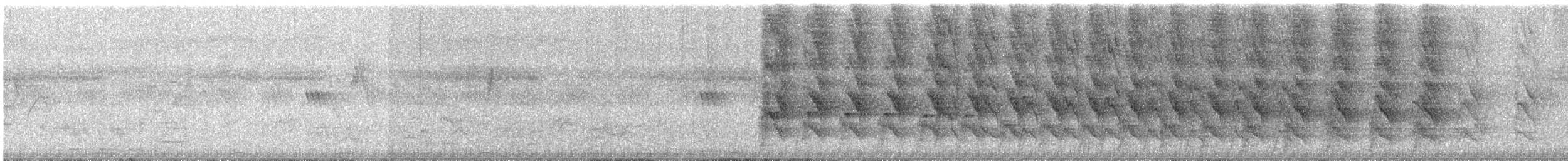 Rose-ringed Parakeet - ML646675969