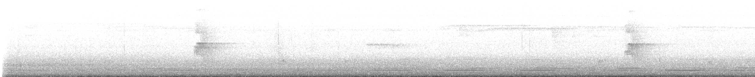 Social Flycatcher - ML646675976