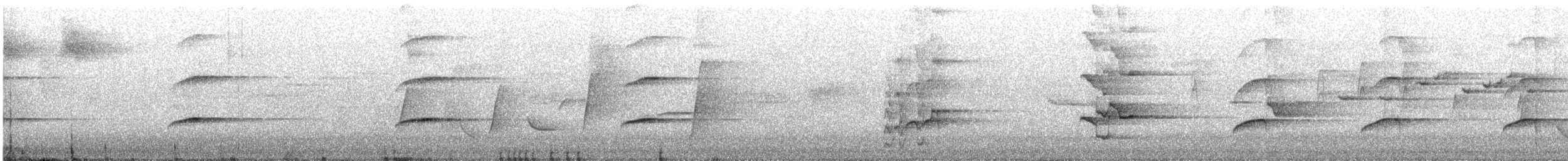 Australian King-Parrot - ML646676698