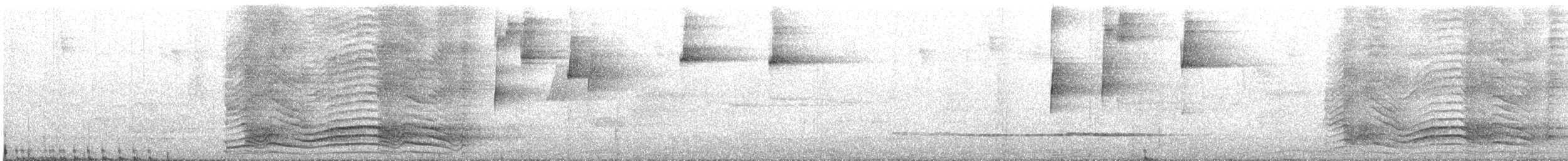 Green Catbird - ML646676702