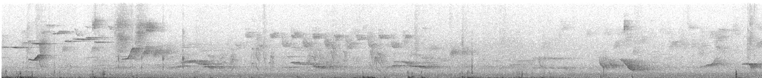 Superb Lyrebird - ML646676715