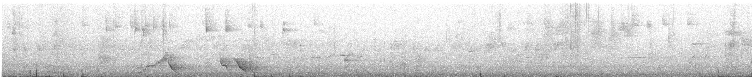 Superb Lyrebird - ML646676716