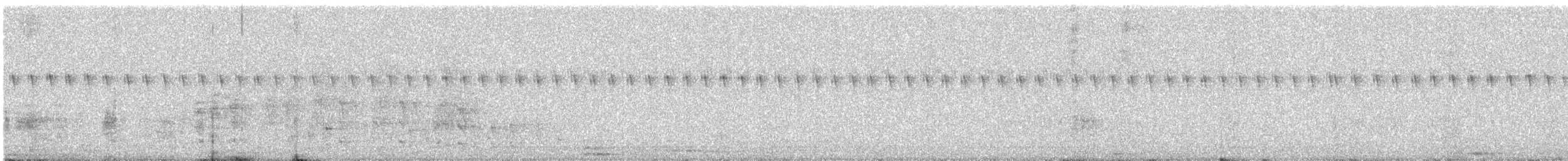 インドコキンメフクロウ - ML646676781