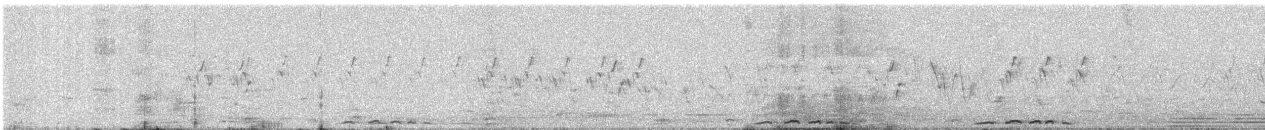 Laughing Dove - ML646676852