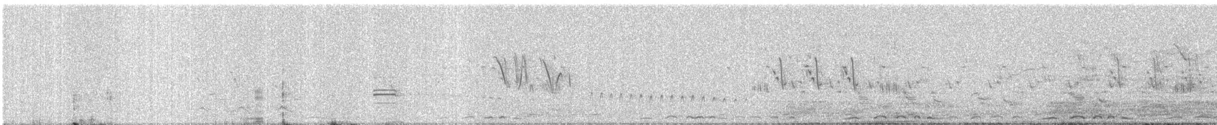 Laughing Dove - ML646676860