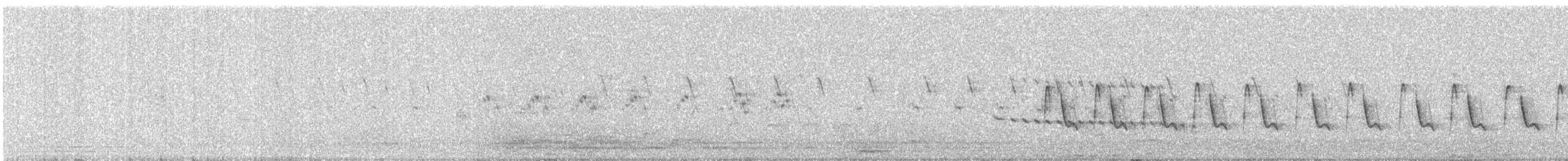 White-throated Kingfisher - ML646676895