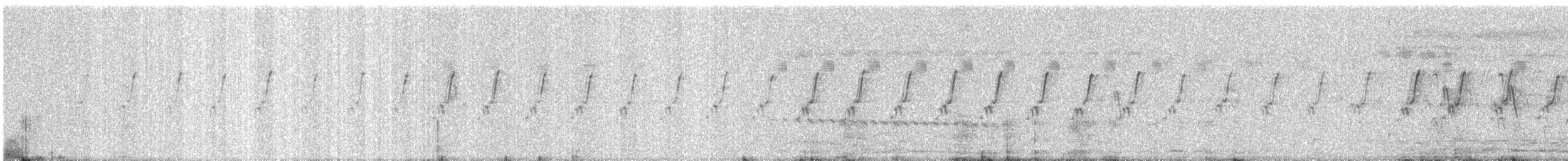 Ashy Prinia - ML646676952