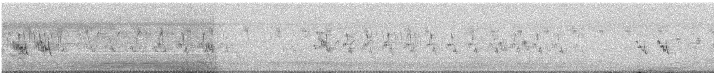 Ashy Prinia - ML646676956