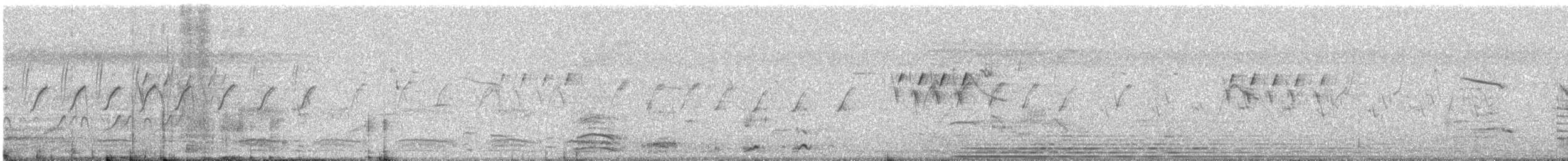 Ashy Prinia - ML646676974