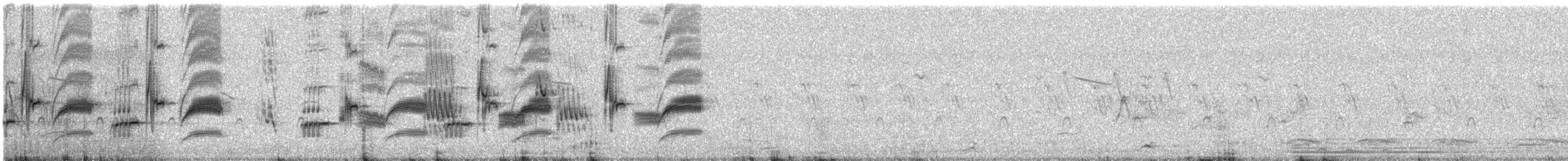 White-breasted Waterhen - ML646677015