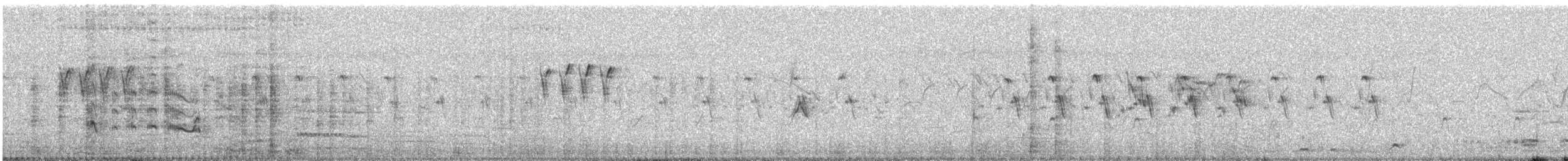 White-breasted Waterhen - ML646677027