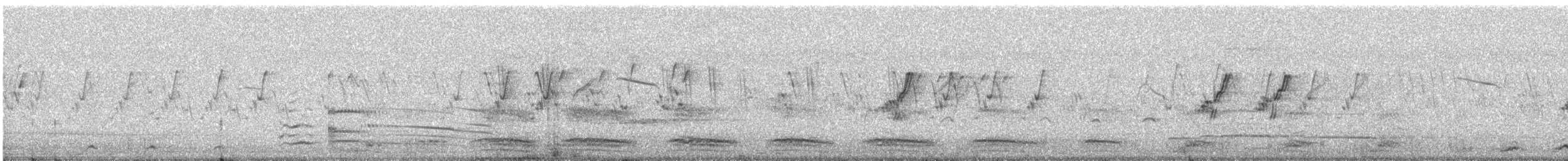 White-breasted Waterhen - ML646677039